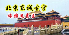 男的操美女骚逼视频自拍中国北京-东城古宫旅游风景区